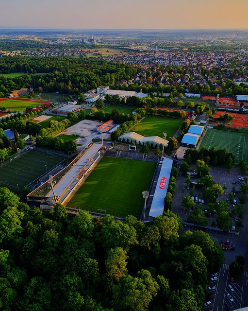 将奥运冠军 将奥运冠军